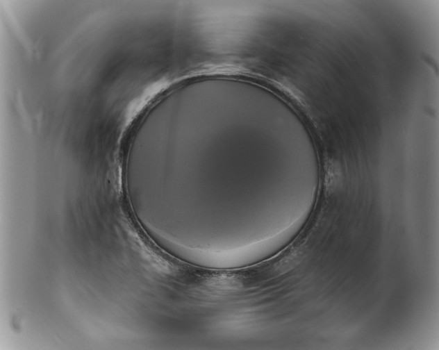 X0000101951414200808011035