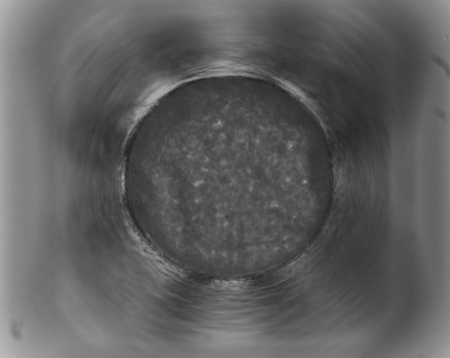 X0000101951415200808011035