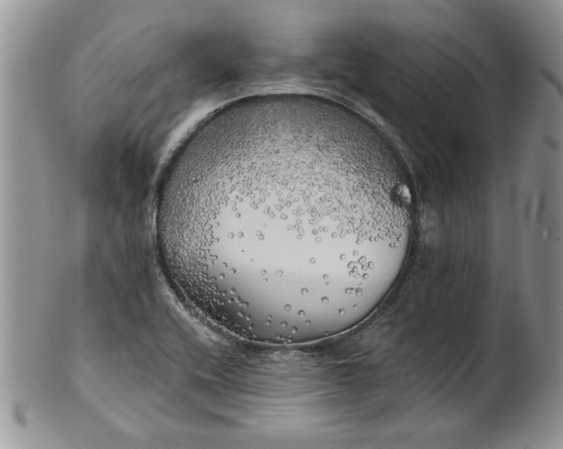 X0000101951416200808011036