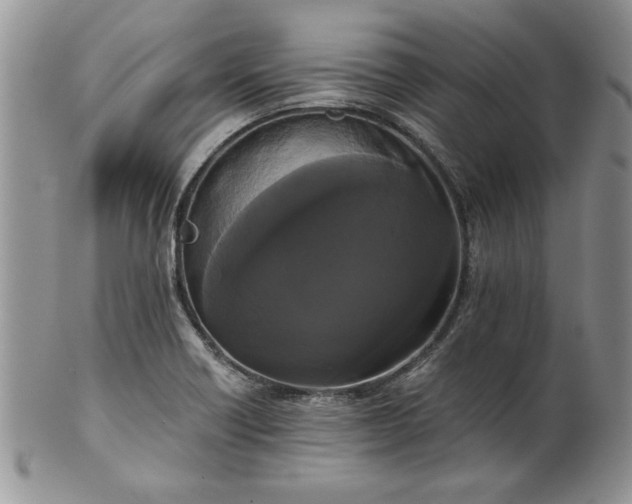 X0000101951418200808011036