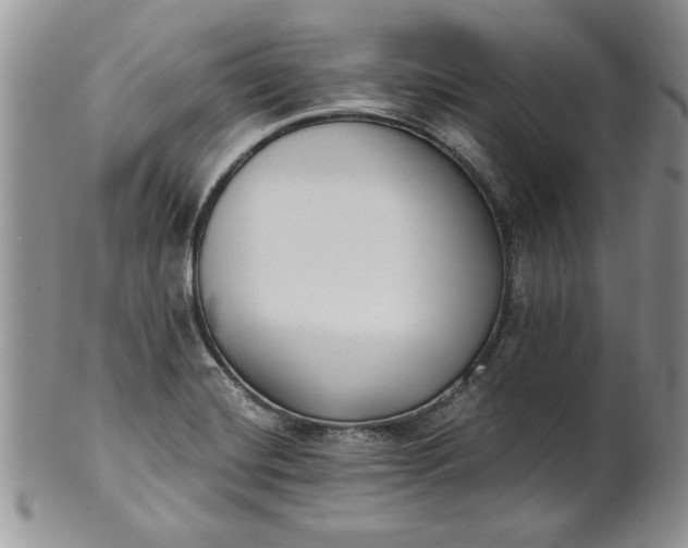 X0000101951420200808011036