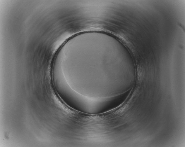 X0000101951422200808011036