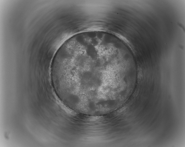 X0000101951423200808011036