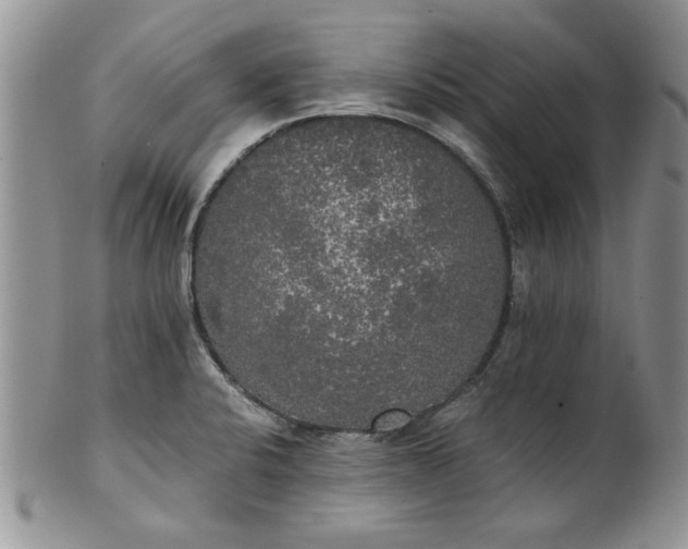 X0000101951424200808011036