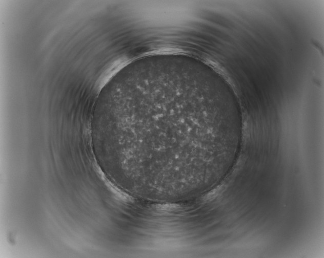 X0000101951425200808011036