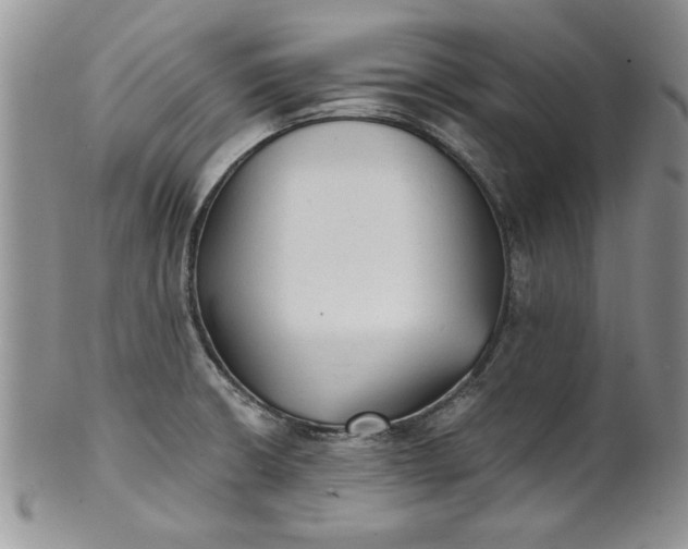 X0000101951426200808011036