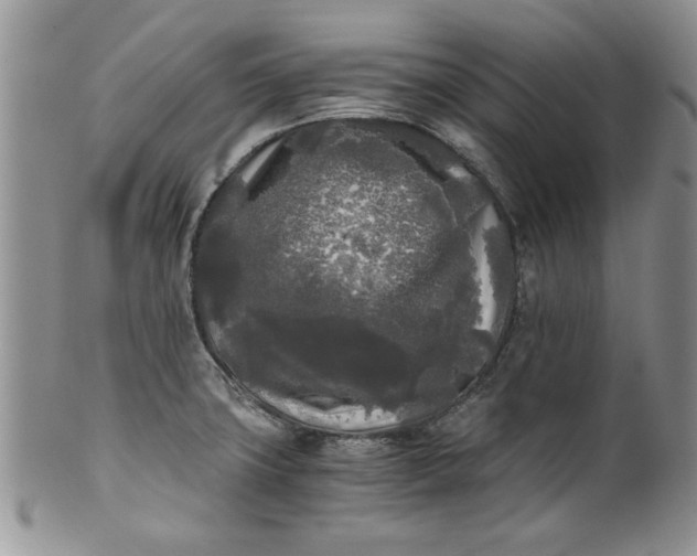 X0000101951427200808011036