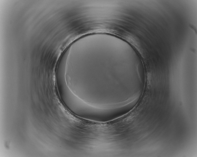 X0000101951428200808011036