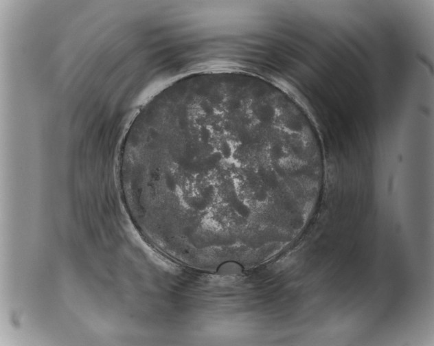 X0000101951429200808011036