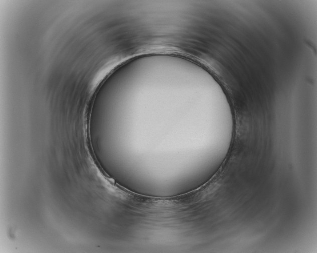 X0000101951430200808011036