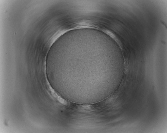 X0000101951431200808011036