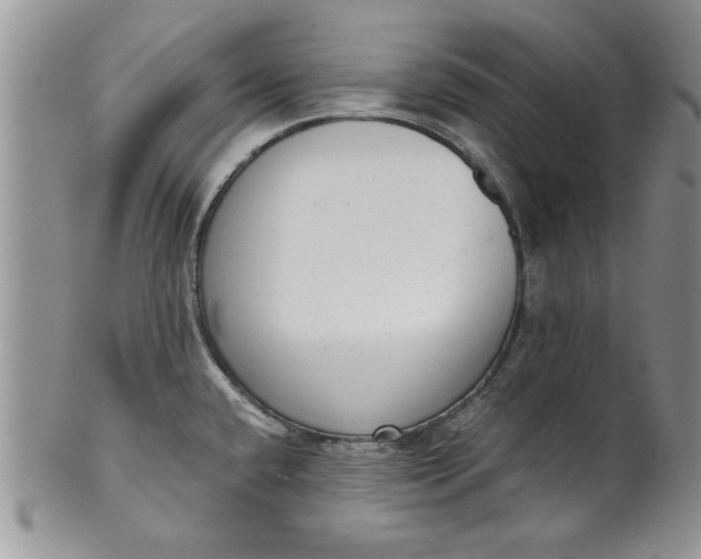 X0000101951432200808011036