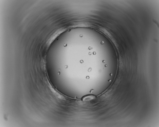 X0000101951433200808011036