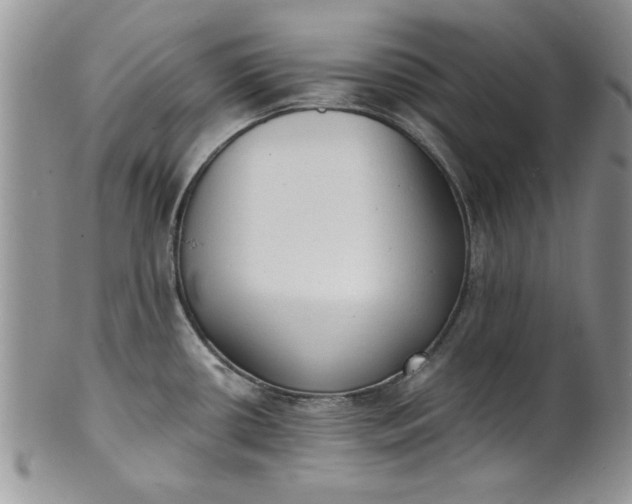 X0000101951434200808011036