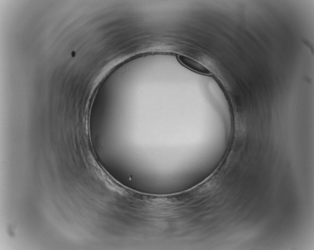 X0000101951436200808011036