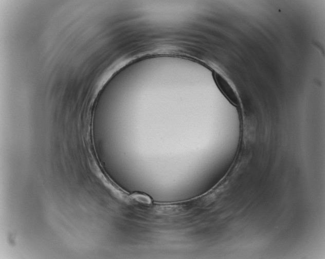 X0000101951437200808011036