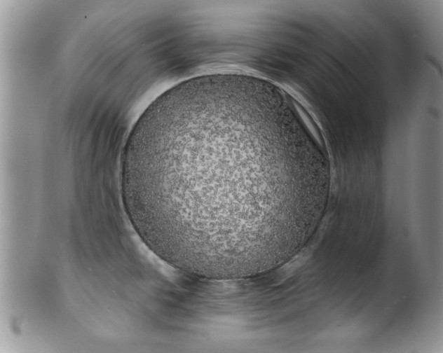 X0000101951438200808011036