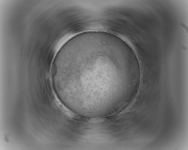 X0000101951440200808011036