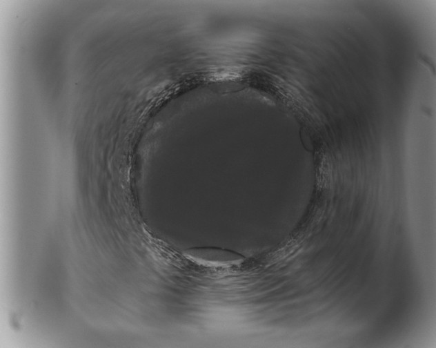 X0000101951441200808011035