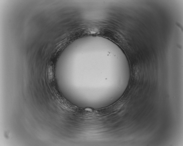 X0000101951442200808011035