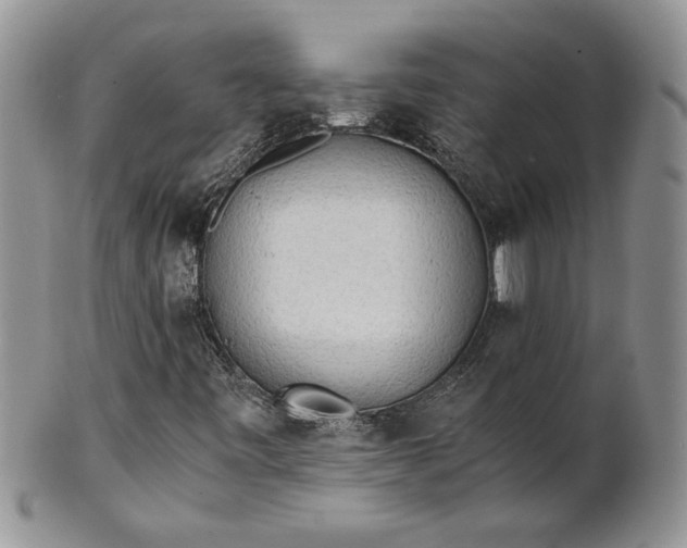 X0000101951443200808011035