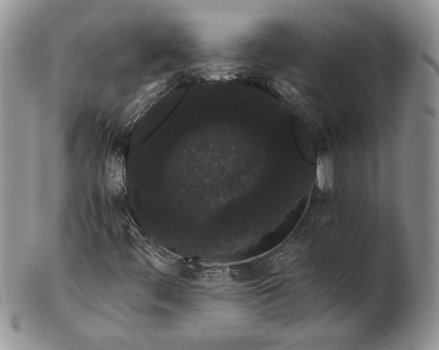 X0000101951444200808011035