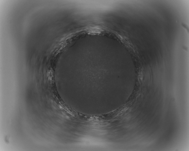 X0000101951445200808011035