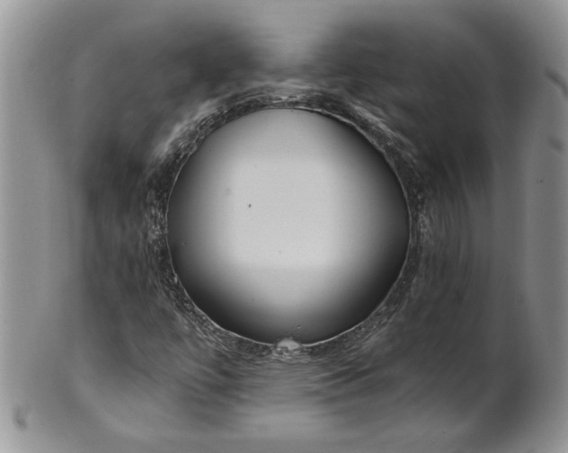 X0000101951447200808011035