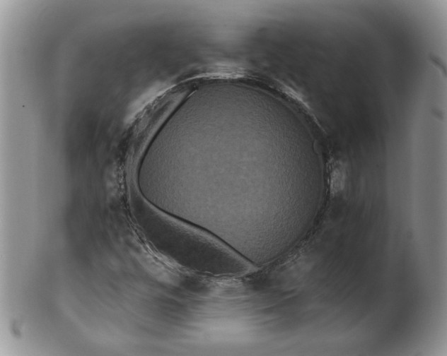 X0000101951448200808011035