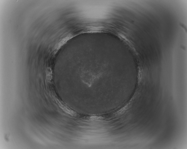 X0000101951449200808011035