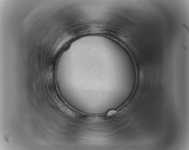 X0000101951450200808011035