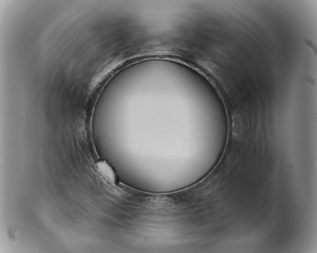 X0000101951452200808011035