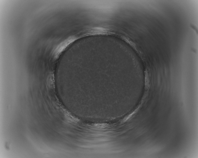 X0000101951453200808011035