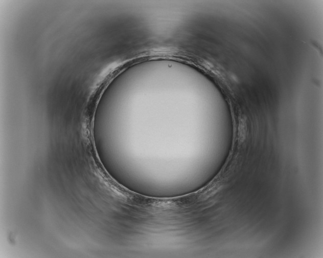 X0000101951454200808011035