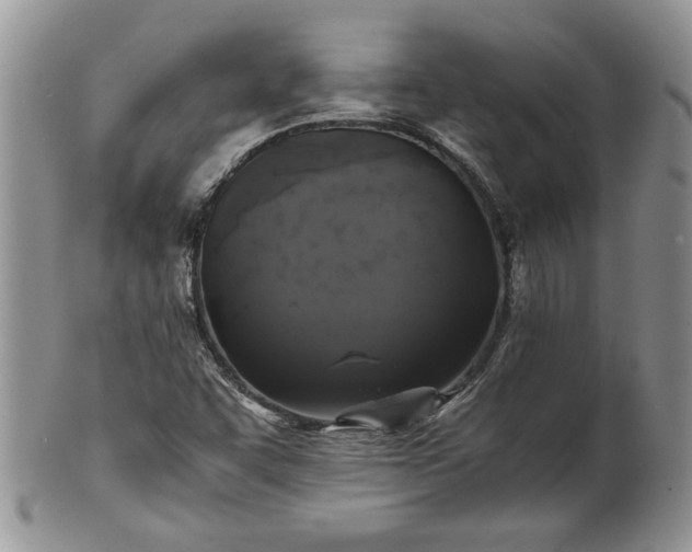 X0000101951455200808011035