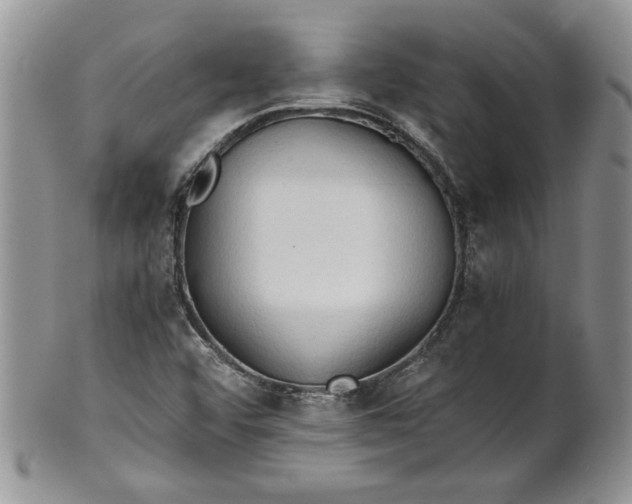 X0000101951456200808011035