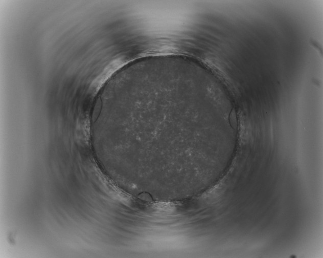 X0000101951457200808011035