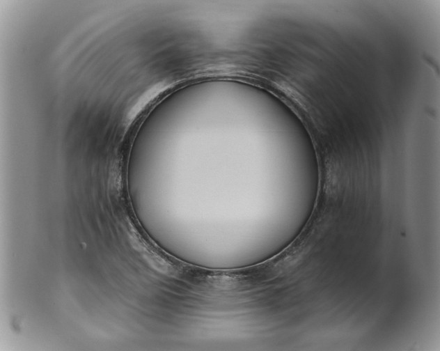 X0000101951458200808011035