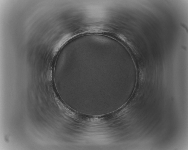 X0000101951459200808011035