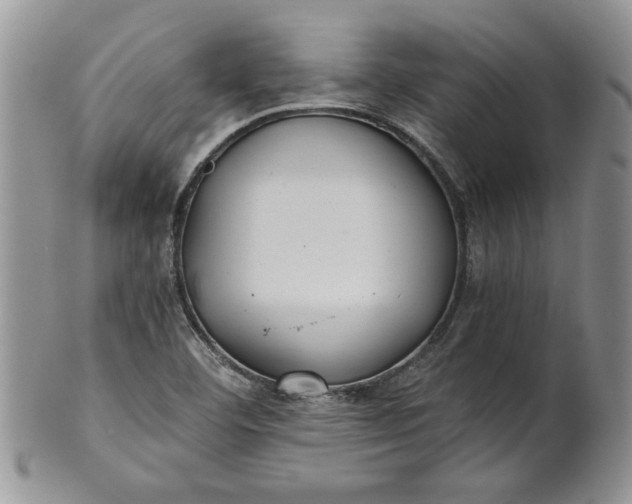 X0000101951460200808011035