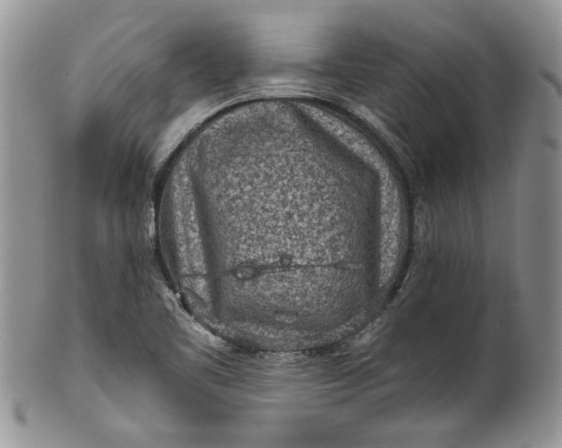 X0000101951461200808011035