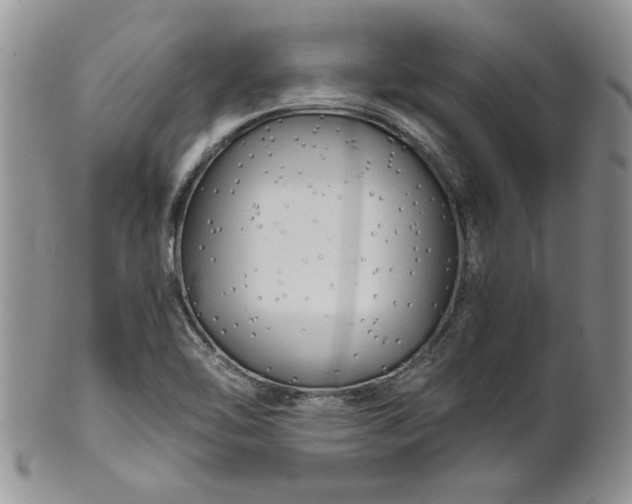 X0000101951462200808011035