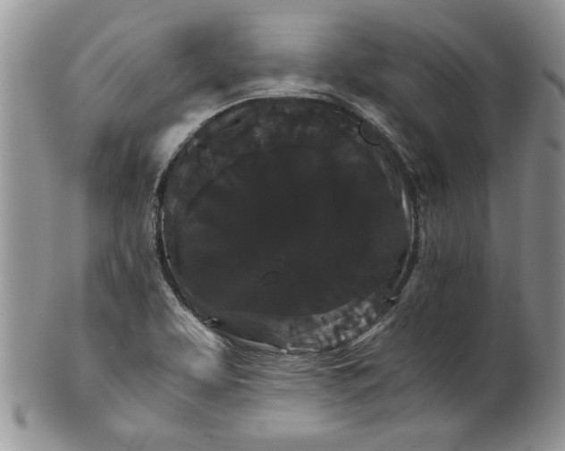 X0000101951463200808011035