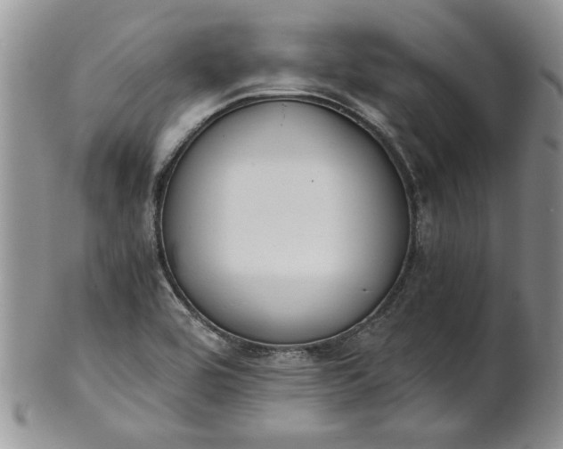 X0000101951464200808011035