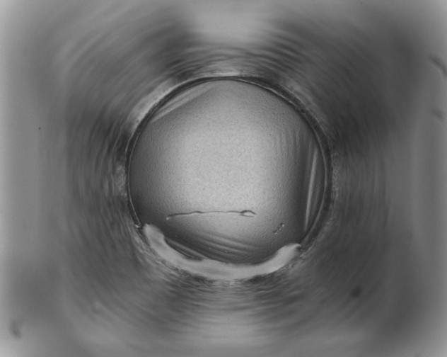 X0000101951465200808011035