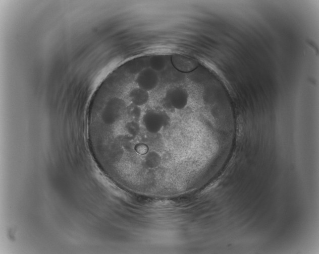 X0000101951467200808011035