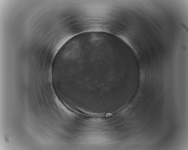 X0000101951468200808011035