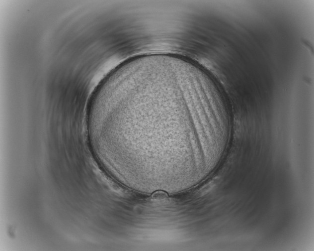 X0000101951469200808011035