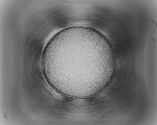 X0000101951470200808011035