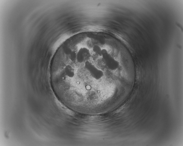 X0000101951471200808011035